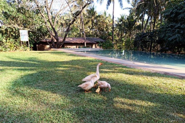 The Orchard Resort Belgaum Extérieur photo