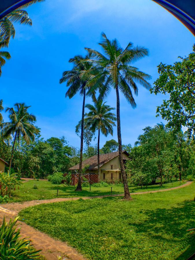 The Orchard Resort Belgaum Extérieur photo