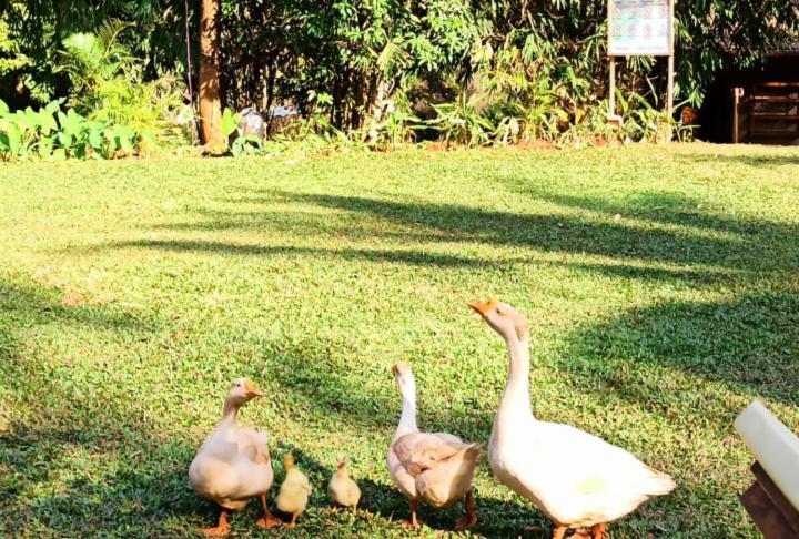 The Orchard Resort Belgaum Extérieur photo